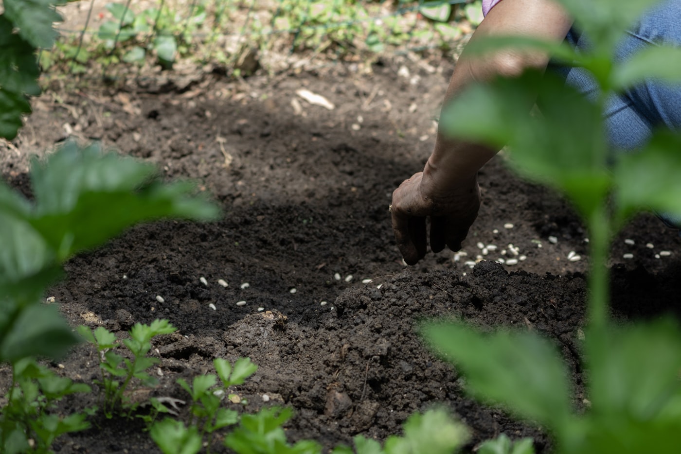 Personne préparant la terre du jardin pour un potager