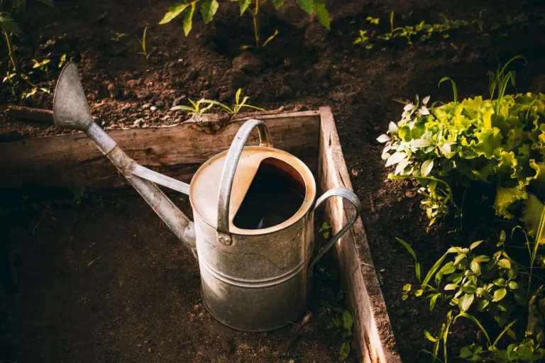 Comment fabriquer un potager en carré : le guide DIY complet