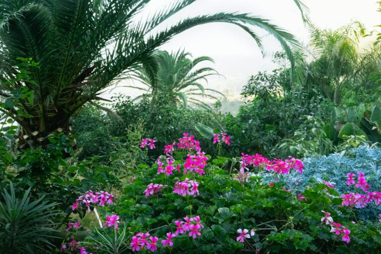 Créer un massif de plantes exotiques en France : zones, strates et hivernage