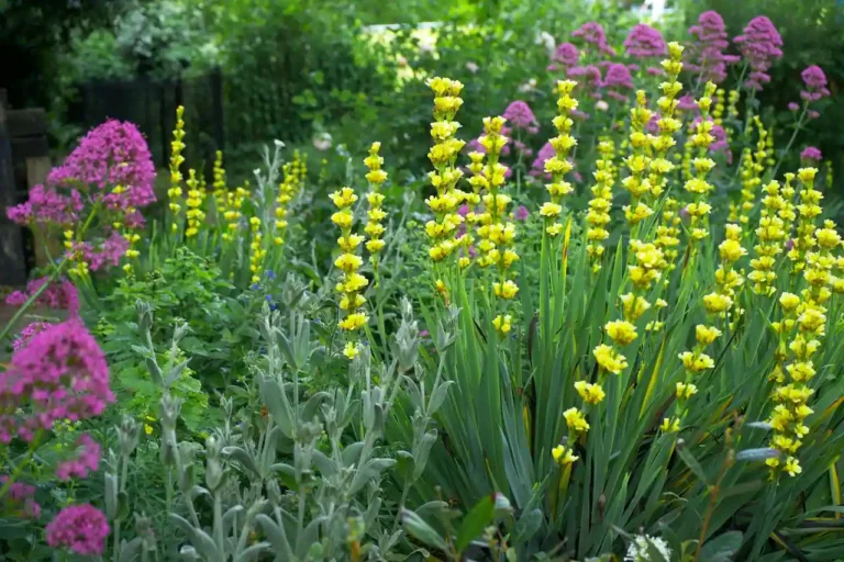 Allée de jardin pas cher : 8 matériaux et la méthode pour poser soi-même
