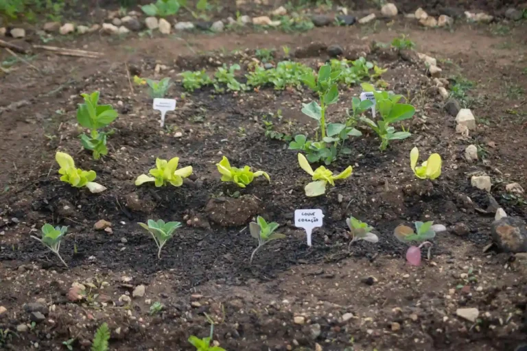 combien de potagers en france
