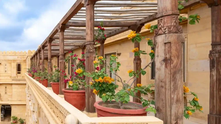 Idée de pergola à faire soi-même : guide pratique pour bricoleurs