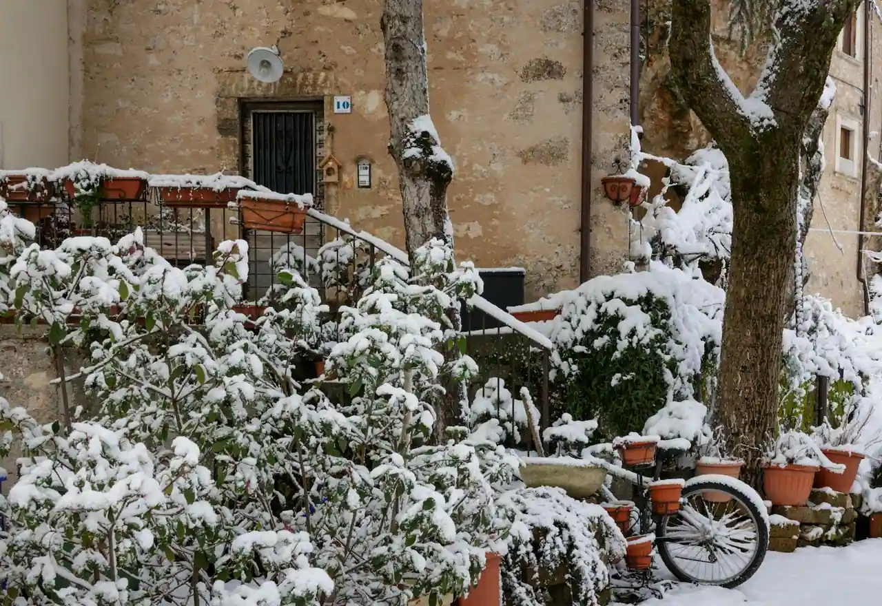 Jardinière d'hiver avec bruyères et pensées sur une terrasse enneigée