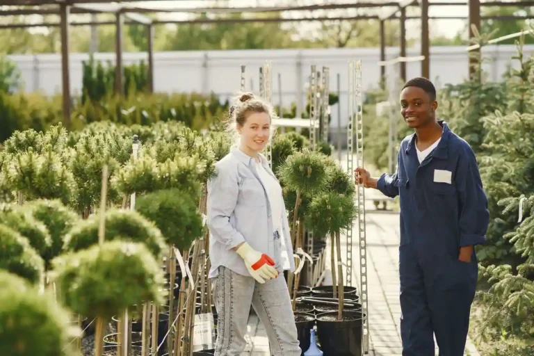 Plantes d&rsquo;extérieur en jardinerie : méthode pour choisir sans se tromper