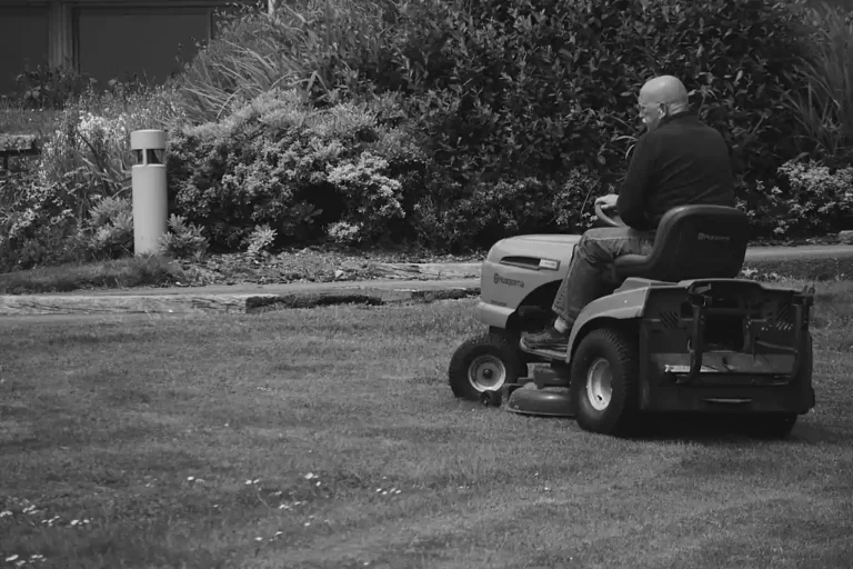 Quel robot tondeuse choisir : guide d&rsquo;arbitrage par jardin et budget