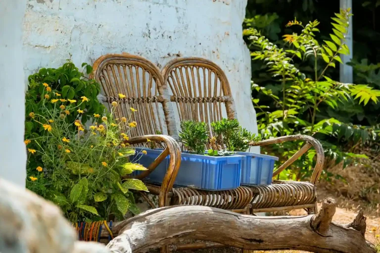 Salon de jardin La Foir&rsquo;Fouille : guide d&rsquo;achat complet