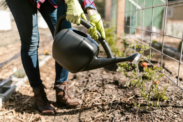 Pailler son jardin : matériaux, épaisseurs et bonne période expliqués
