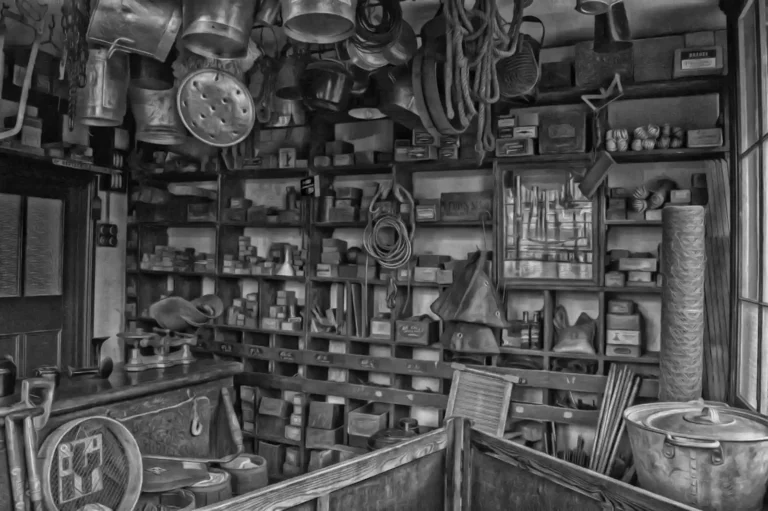 Magasin de bricolage : lequel choisir selon votre projet