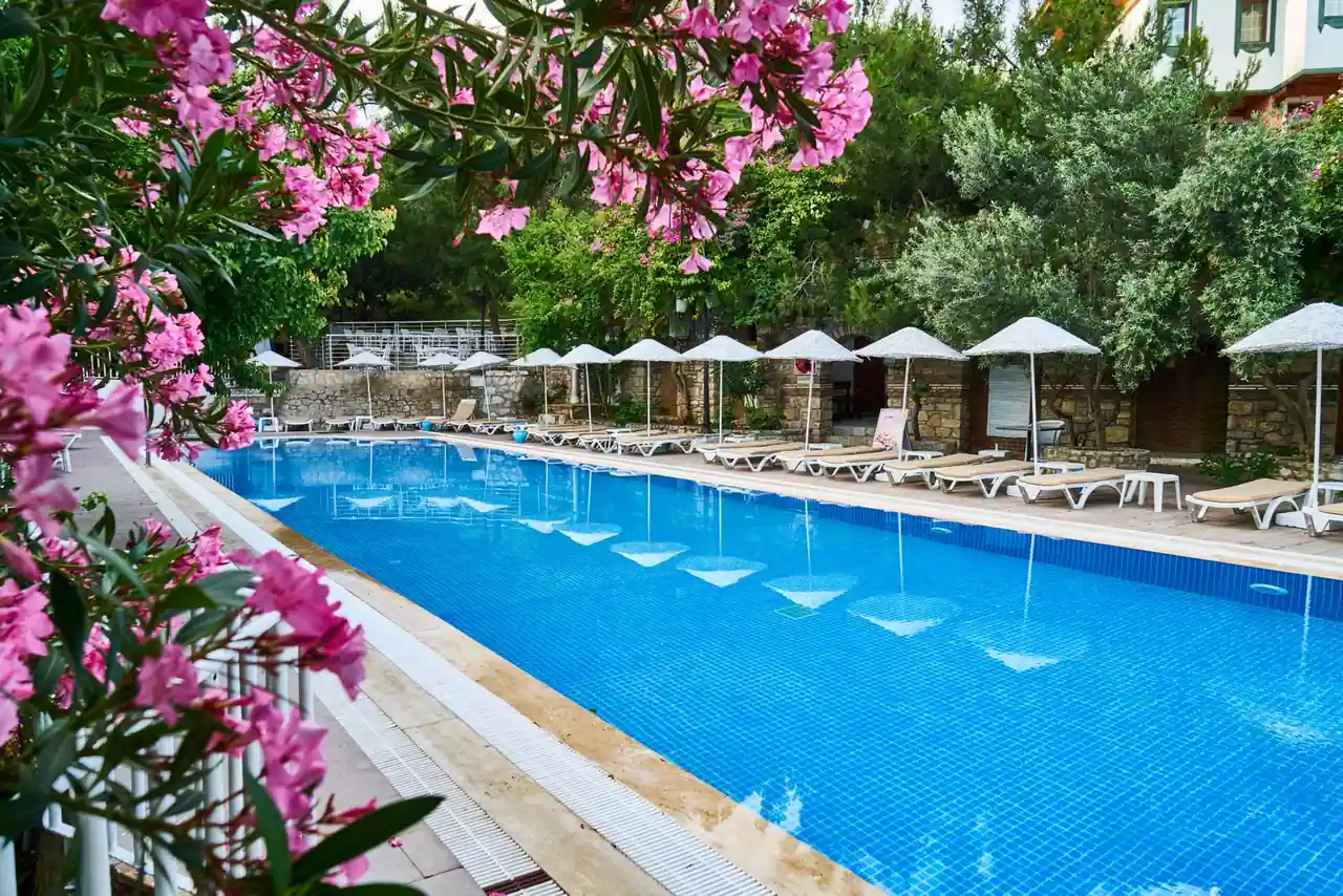 Bains de soleil et parasols alignés au bord de la piscine d'un hôtel, sous le soleil