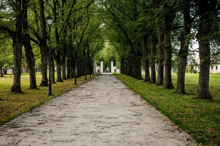 Plan du Jardin d&rsquo;Acclimatation : s&rsquo;orienter et organiser sa visite