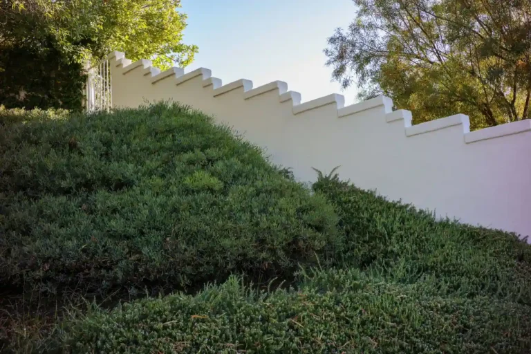 Aménager un jardin en pente : méthode, plantes et bon ordre