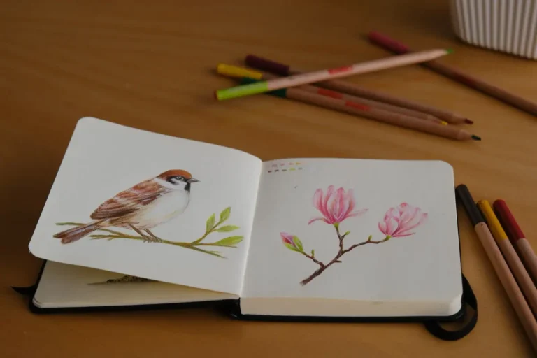 La boîte à outils du dessin : le matériel essentiel pour commencer