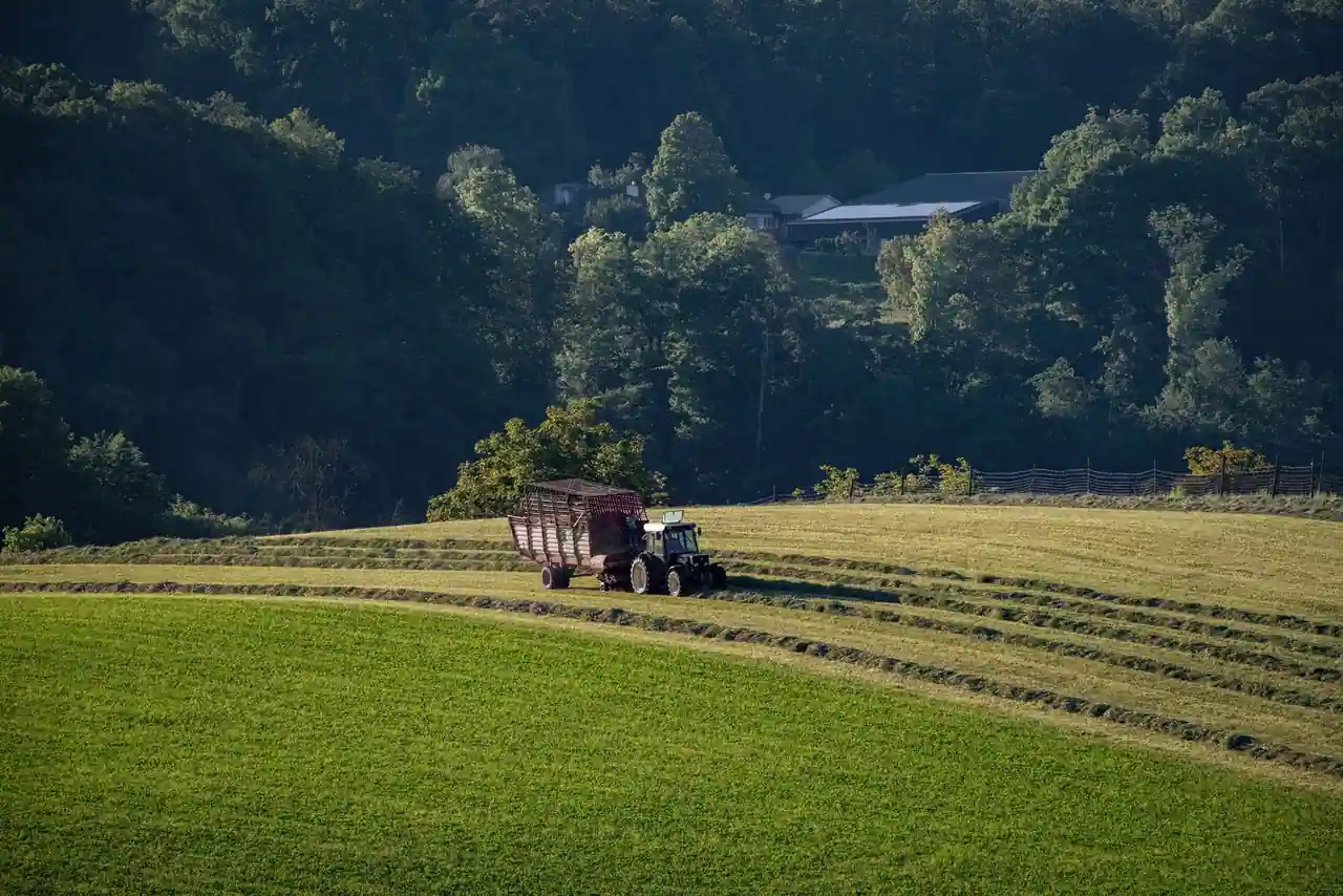 Tracteur récoltant du foin dans un champ vallonné bordé d'arbres à la campagne