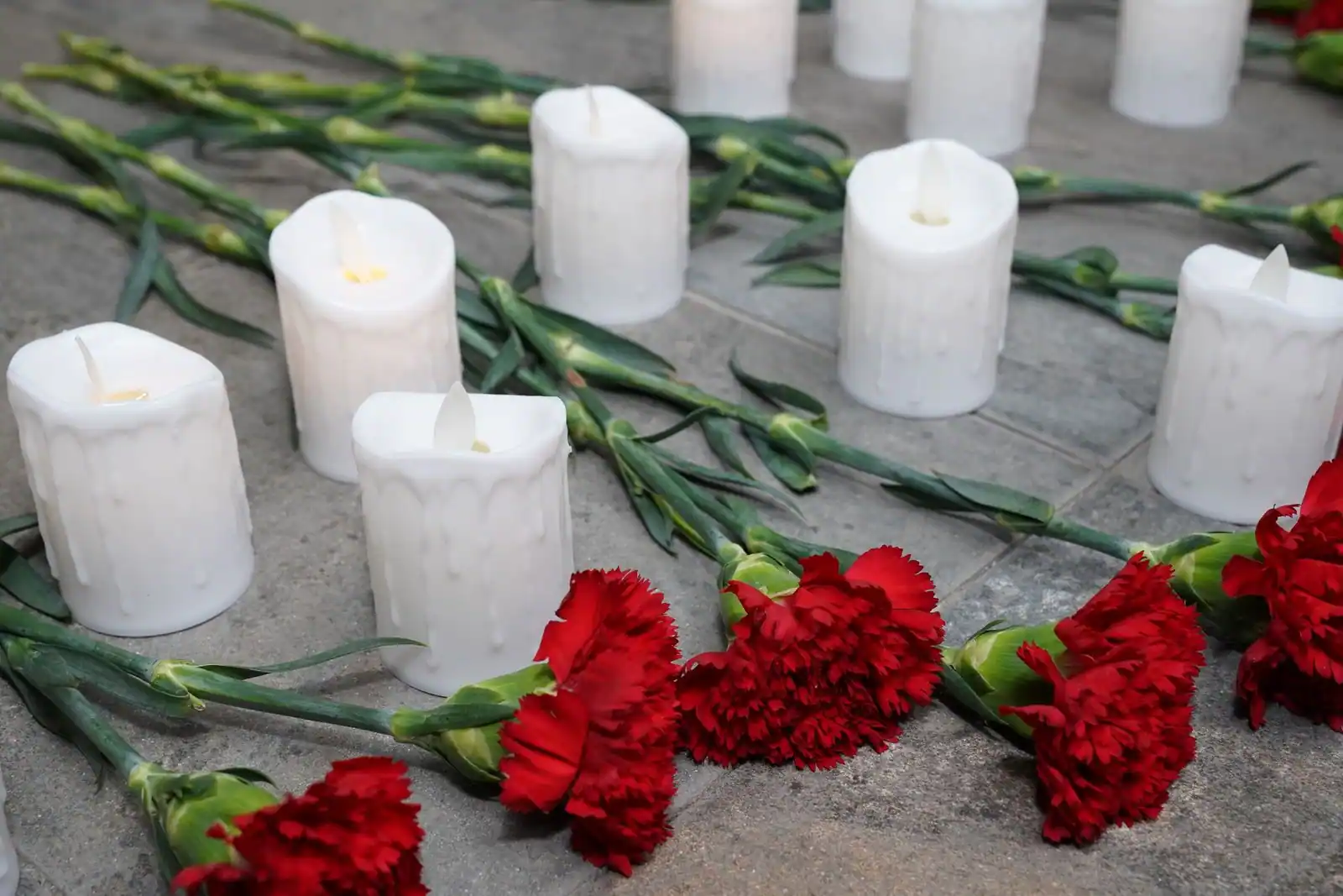 Œillets rouges et bougies blanches disposés sur une surface de pierre, en hommage