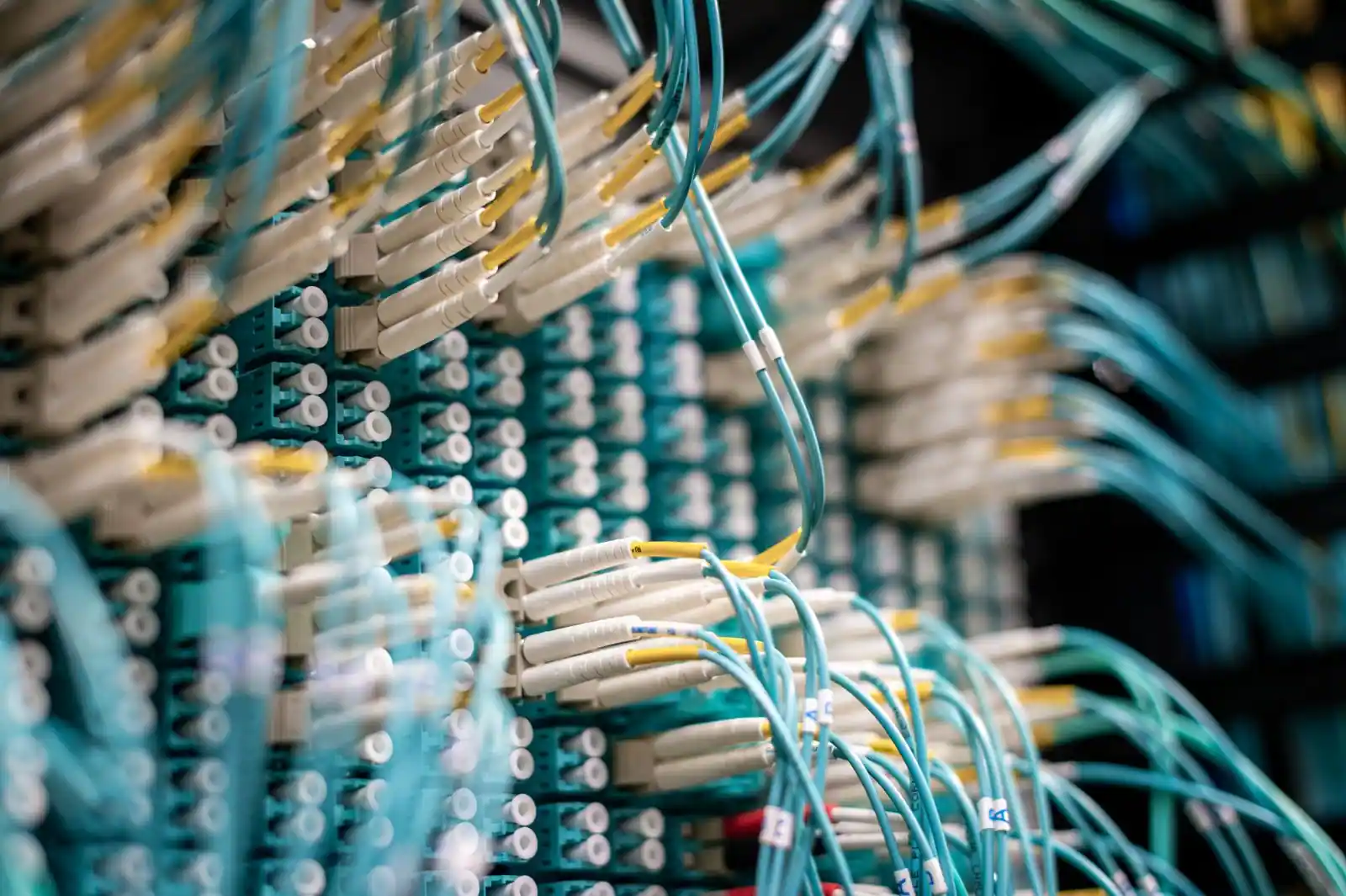 Câbles de fibre optique raccordés sur un répartiteur, illustration d'un réseau de télécommunications.