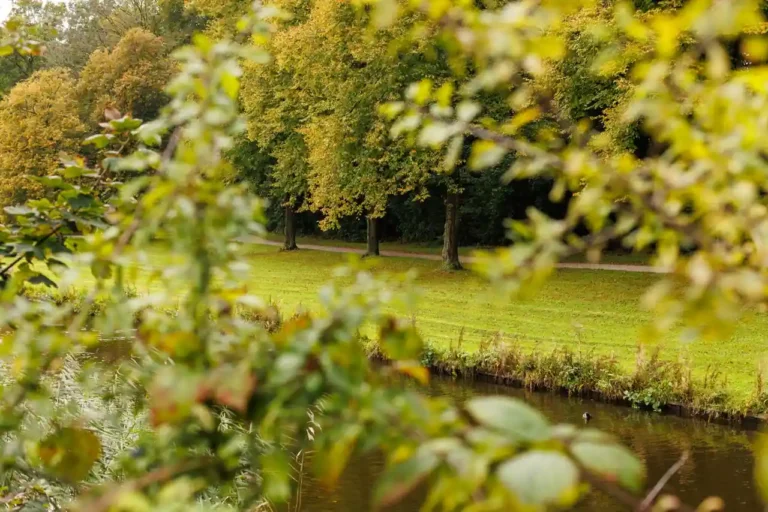 Le Jardin des Plantes de Toulouse : histoire et découverte