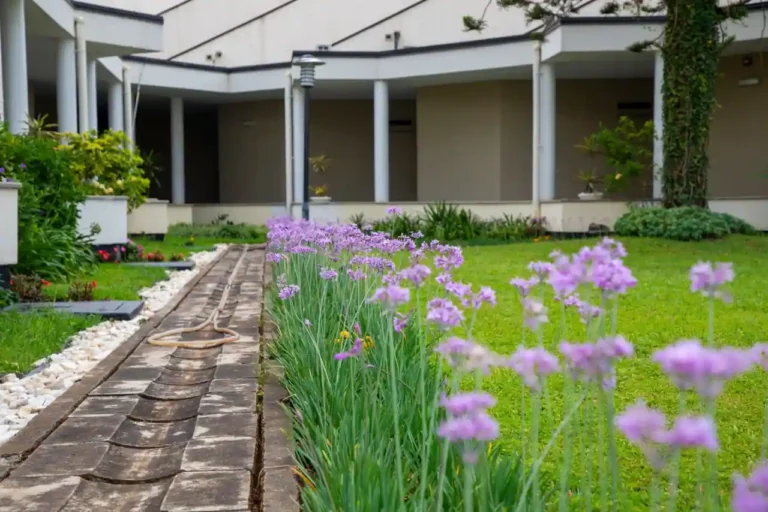 Jardin paysager : la méthode pour le concevoir pas à pas