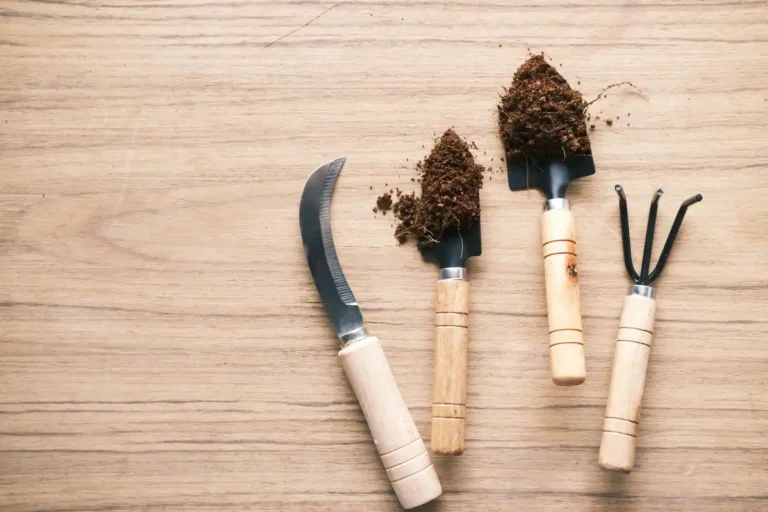 Outil de jardinage en 7 lettres : la réponse et les alternatives