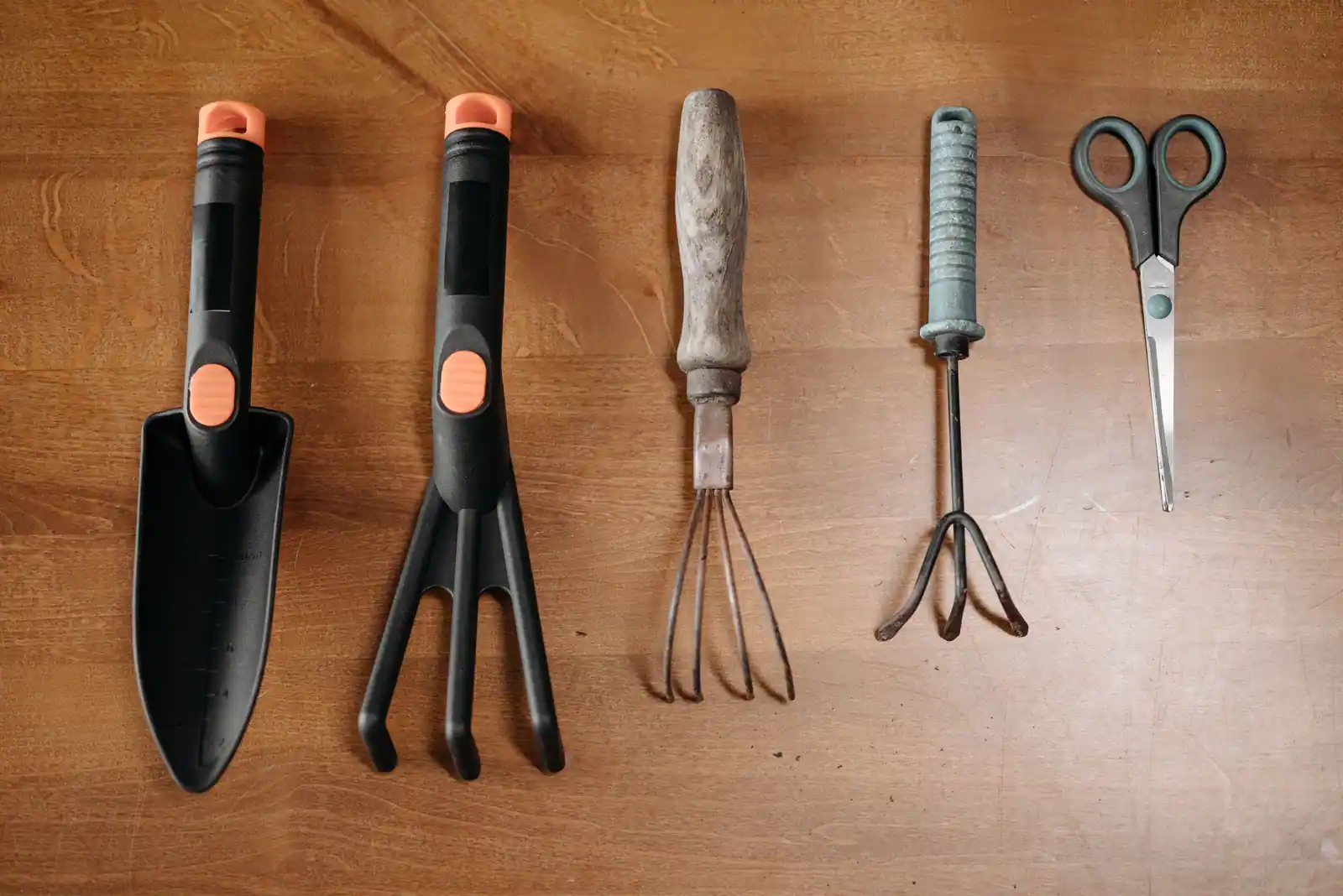 Outils de jardin à main alignés sur une surface en bois : transplantoir, griffes et ciseaux