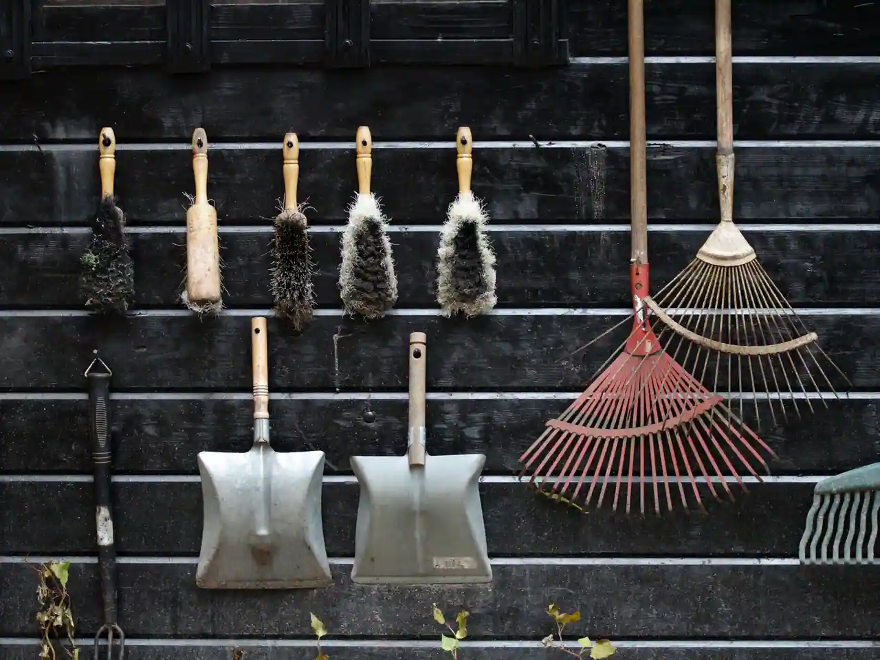 Outils de jardin à main — pelles, râteaux et brosses — accrochés à la cloison en bois d'un abri de jardin.