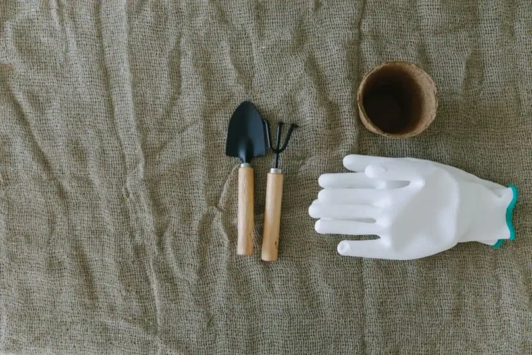 Outils de jardinage : le guide des indispensables (et le jeu 94%)