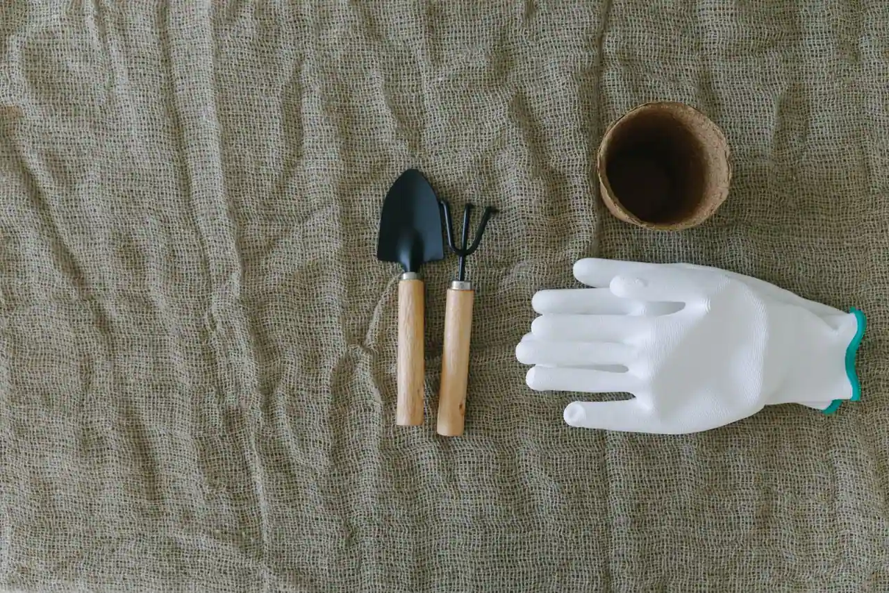 Petits outils de jardinage à main, un transplantoir et une griffe, avec un gant et un godet sur une toile.