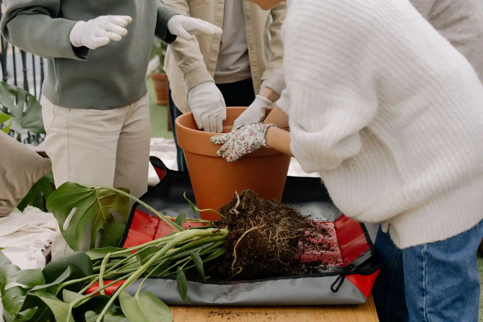 Pots de fleurs en plastique vides montrant les trous de drainage au fond
