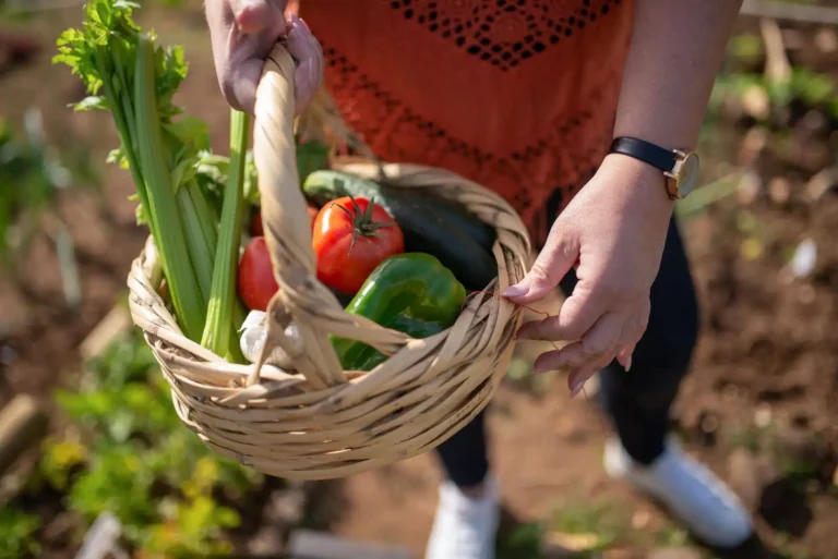 Plantes potagères vertes en 8 lettres : la liste qui complète votre grille