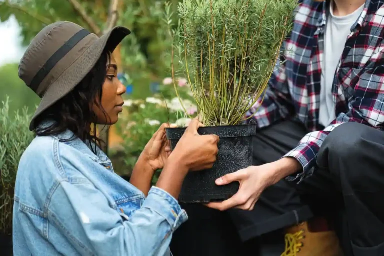 Actualité jardin : où suivre les émissions, télé et web
