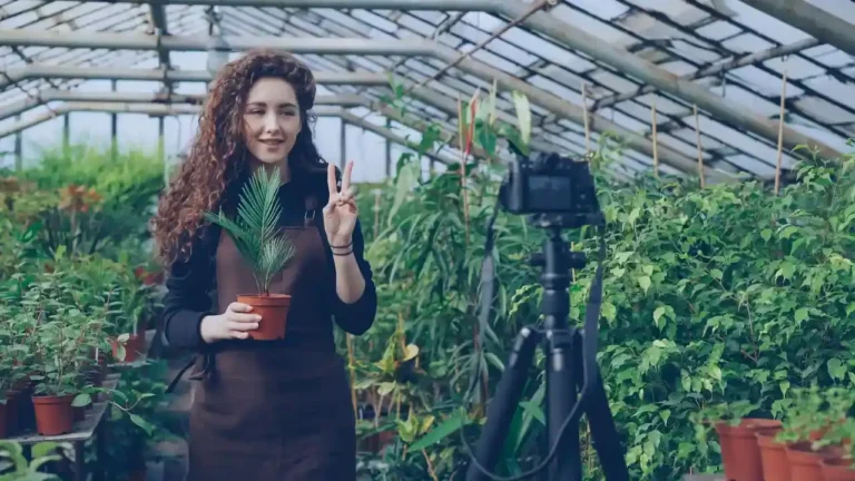 Jardin à la télé et sur YouTube : où suivre l&rsquo;actu et bien s&rsquo;en servir